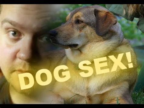 xnxxdogsex|Best of Dog Sex 2021 .